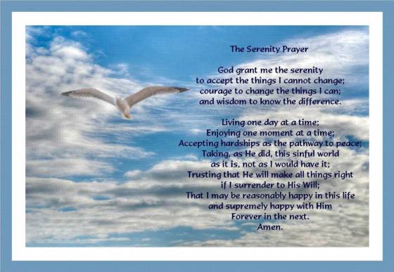 SerenityPrayer with gull